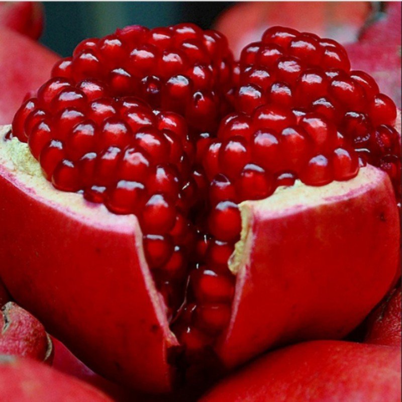 Pomegranate - Areeqa Enterprises